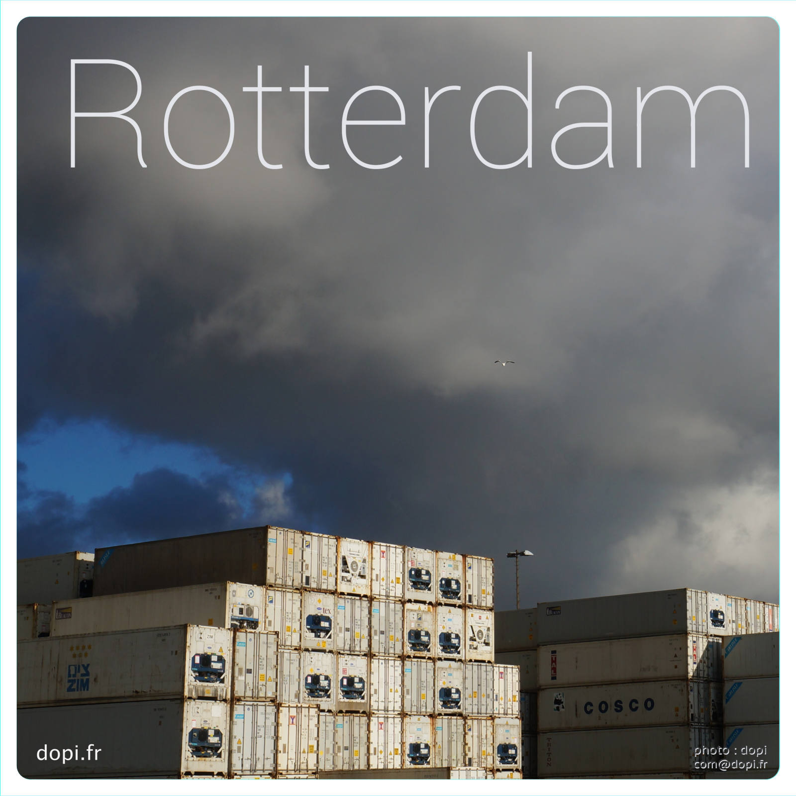 00009 82rot,medium large.2x.1483111524